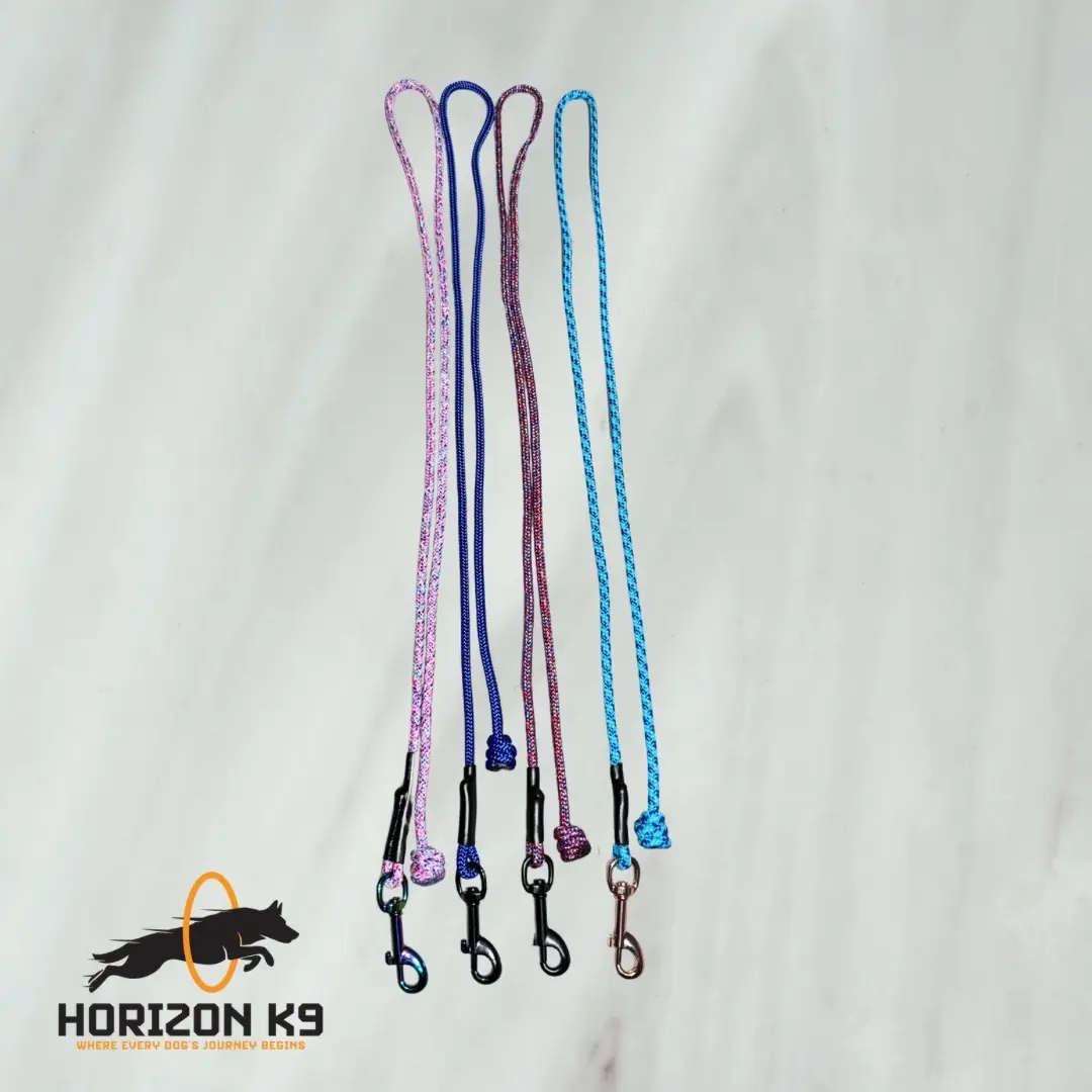 Customisable Dog Lead - Personalized Dog Leash