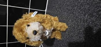 Product Review of Steiff Classic Ricky Cockapoo premium plush soft toy from r**e 2
