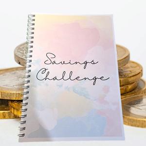 Savings Challenge book, diary, money planner, birthday savings, monthly planner budget