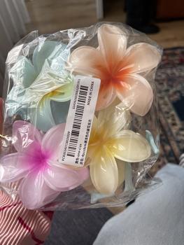 Product Review of Simple Flower Design Hair Claws, Casual and Versatile Hair Accessories for Women, Minimalist Headwear Suitable for Beach Vacation Daily Use Christmas Gift Claw Clips from E**a 0