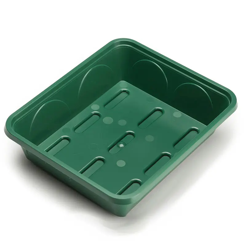 EarlyGrow Unheated 2-Bay Medium Propagator - Perfect for Growing Your Own 2