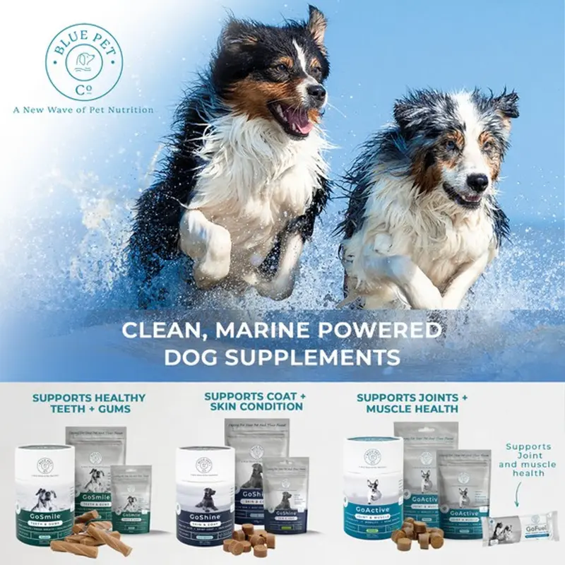 Blue Pet GoShine Skin & Coat Supplement Chicken 90g 30 pieces 5