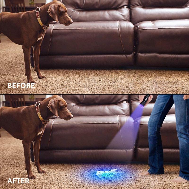Product Introduction of LE UV Torch, 9 LED 395nm Ultraviolet Flashlight, Blacklight Detector for Pet Urine, Stain, Bed Bugs and More, 3 AAA Batteries Included 18