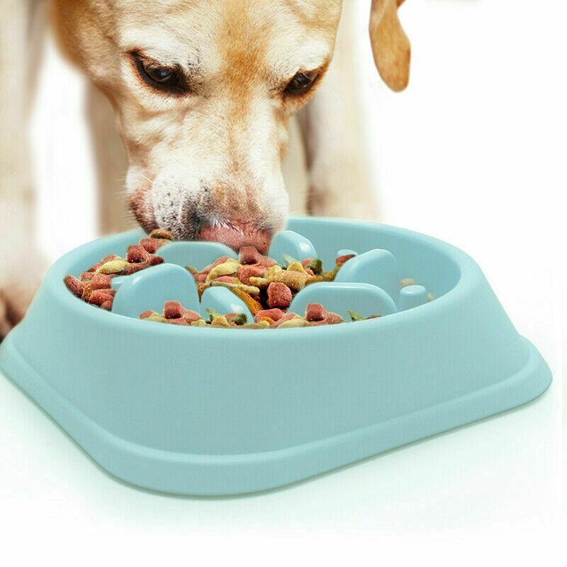 Product Introduction of Dog Bowl Slow Feeder Pet Bowl Anti Bloating Anti Slip Feet Interactive Feed Dish 14