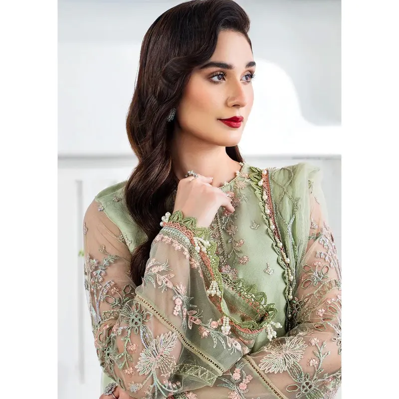 Calina - Meeral Readymade Organza Suit 1