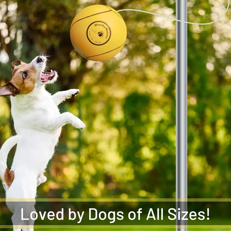 Revive Wonder Tetherball w/360° Swivel Hook | Classic Soft Tetherball for Kids Adults Dogs | Tetherball Set with Tetherball Ball and Rope and Hook | Nostalgic Tether Ball Playground Outdoor Equipment 4