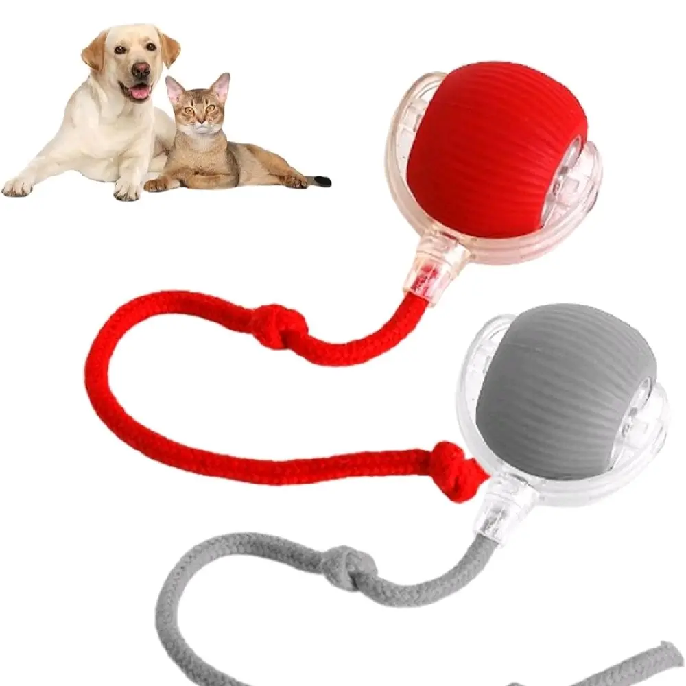 Interactive Rolling Cat and Dog's Ball for Playful Pets - Three Modes, Safety Features