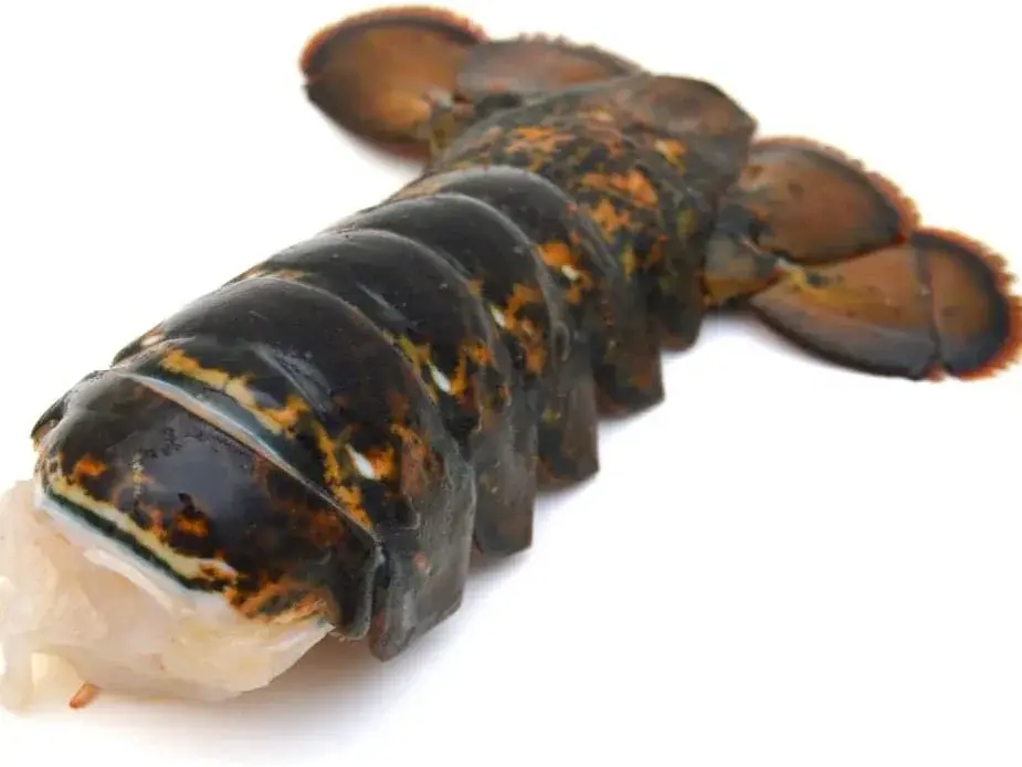 Lobster Tail 150gr