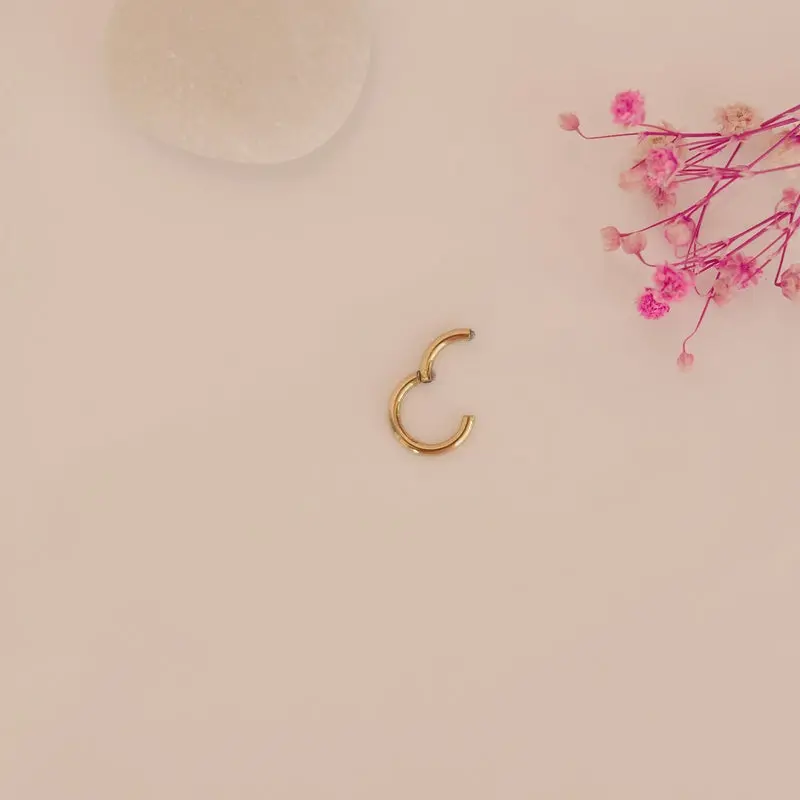 Plain Steel Earrings,  Ring Earrings, Hoop Earrings, Tragus Piercing for Helix and Cartilage Gold Silver Gift For Her 3