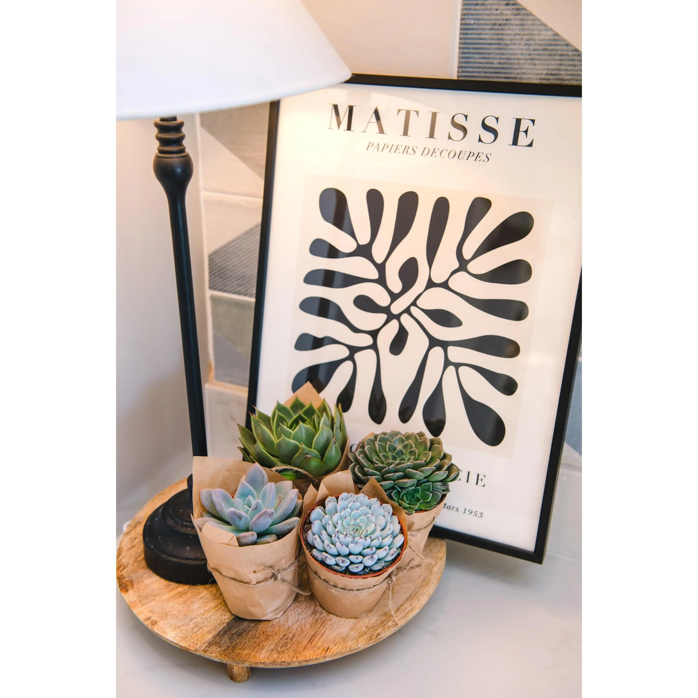 Trio of Mini Succulents