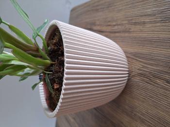 Product Review of Capi Groove Sawdust Beige Pot 13cm from J**a F**r 0