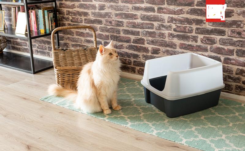 Product Introduction of Cat Litter Tray with Scoop – Easy to Clean, Detachable Spill-Preventing Walls, BPA-Free Cat Litter Box in Grey, Size CLH-12, Suitable for Kittens, Adult Cats, and Rabbits – Modern Open Top Design 2