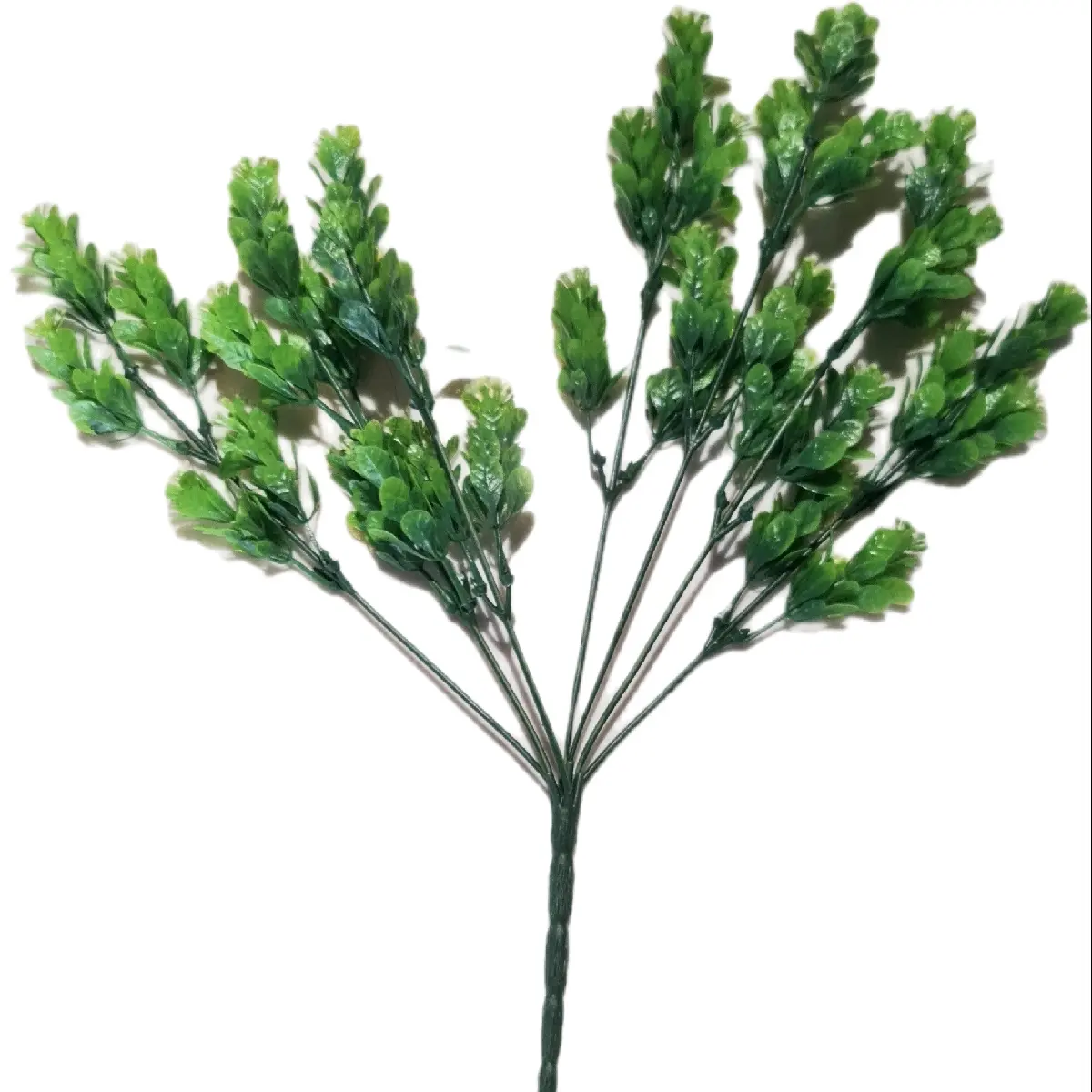 Green Bush Decorative Plants for Home and Garden - Decorative Plants for Sale
