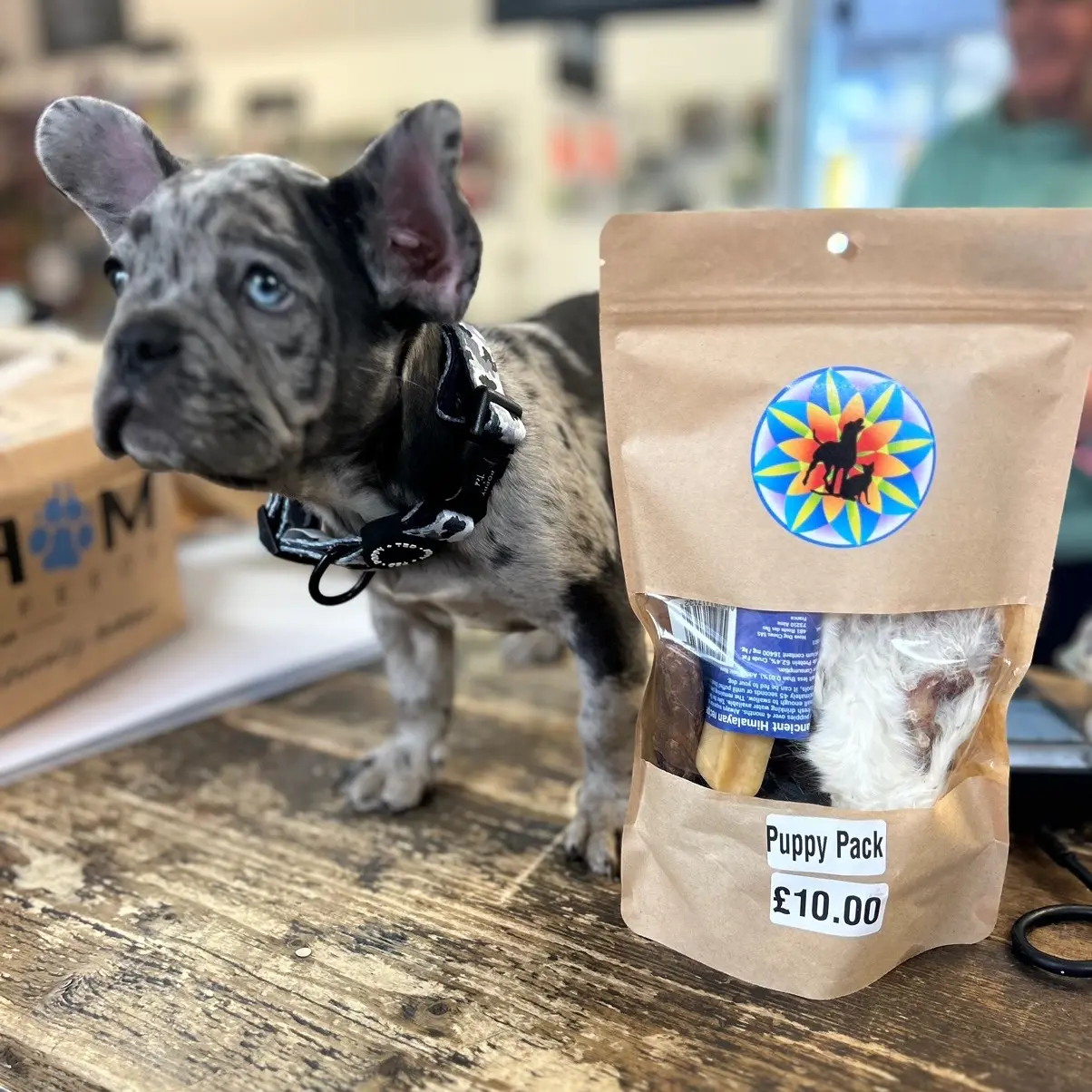 Puppy Pack - great dental chews