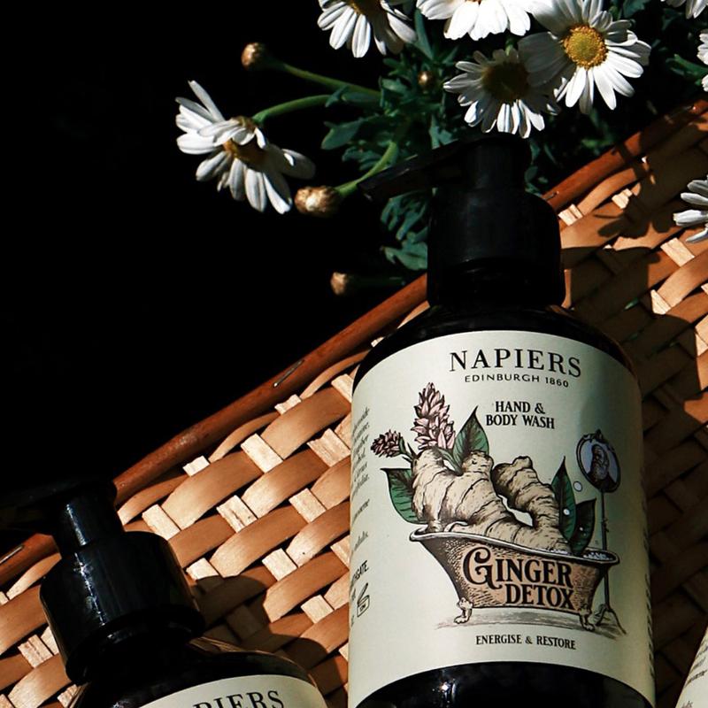 Napiers Ginger Detox Hand & Body Wash - Herbal Cleanser For Hand & Body - Naturally Foaming Plant Based Body Care Providing Gentle Cleansing Comfort With The Light Scent Of Citrus And Ginger 4
