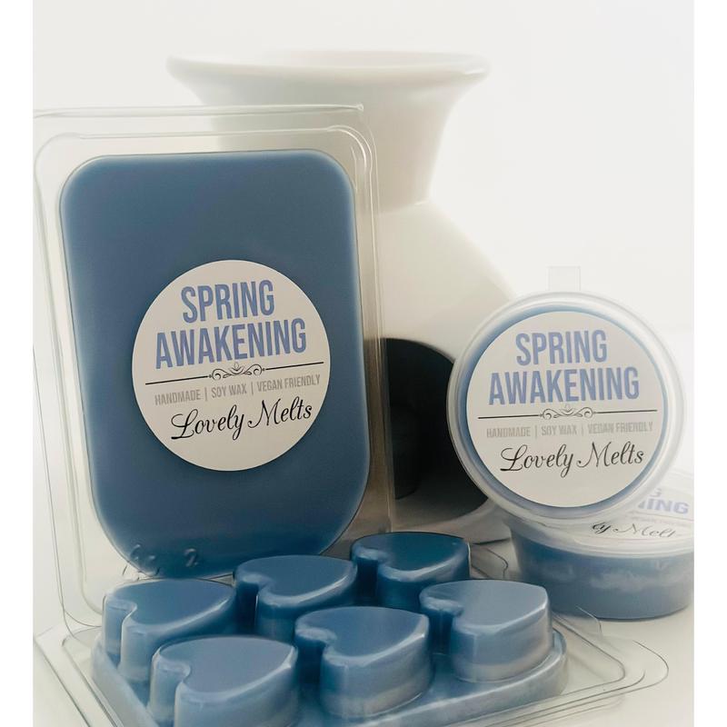 SPRING AWAKENING (LAUNDRY) Soy Wax Melts 0
