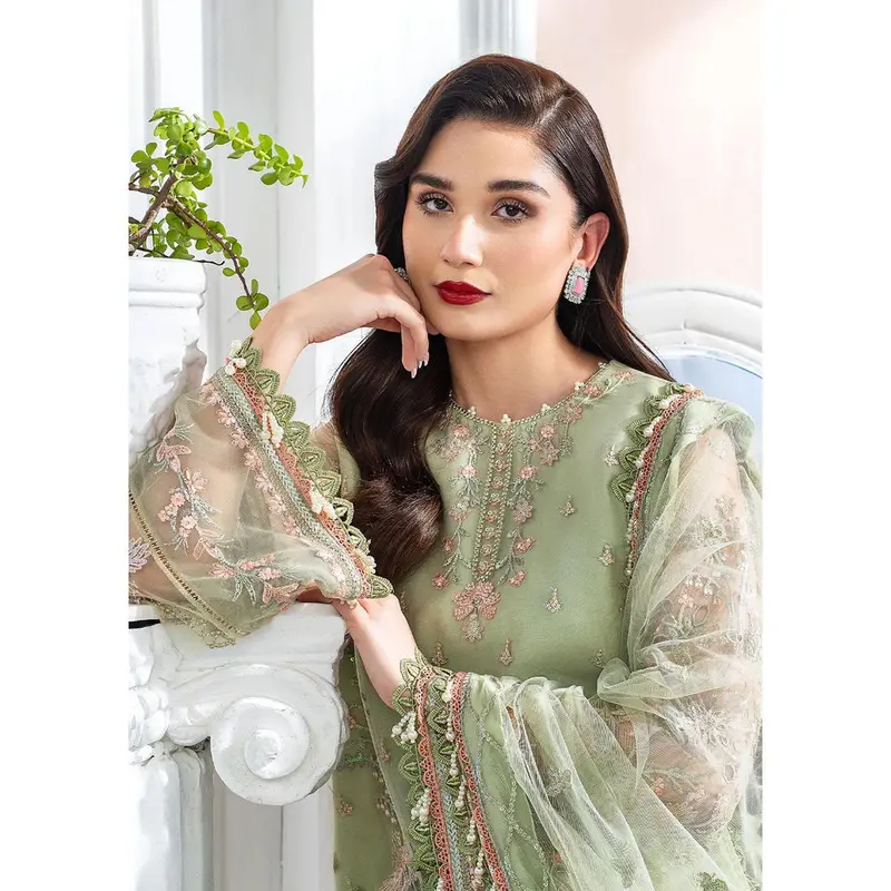 Calina - Meeral Readymade Organza Suit 2