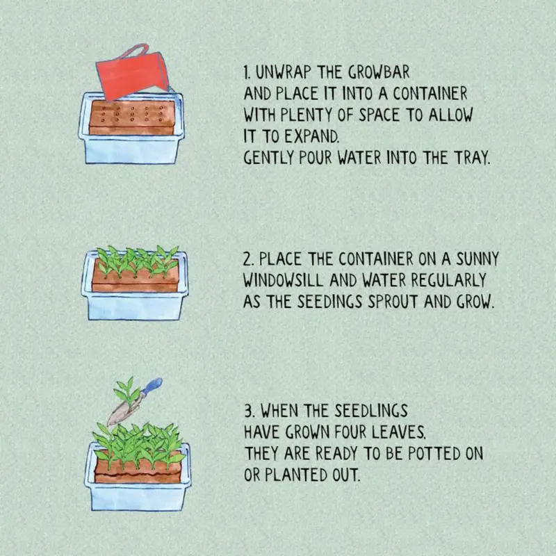 The Confetti Growbar - Grow your own Cornflower, Clary and Larkspur flowers from seed to dry and turn into your very own confett. All you need to do is just add water! 2