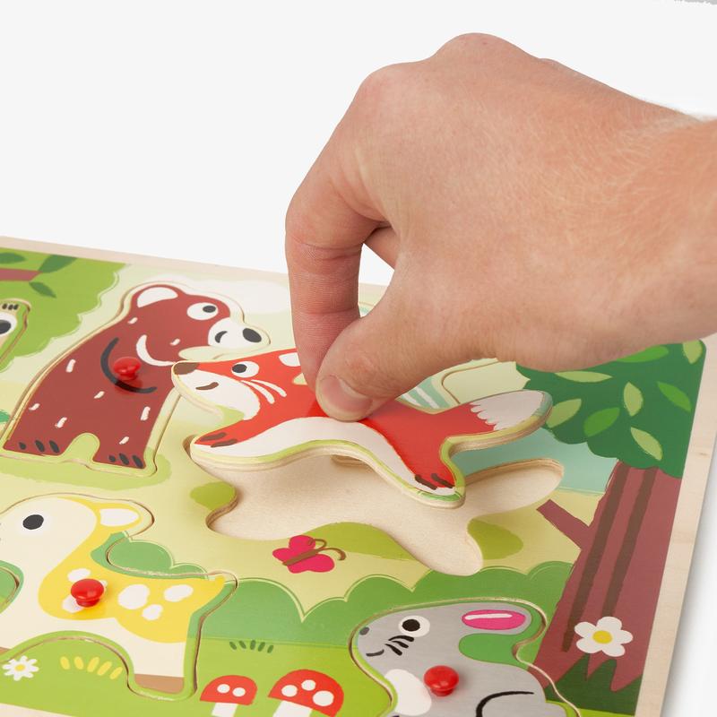 Wooden Jigsaw Peg Puzzles 2