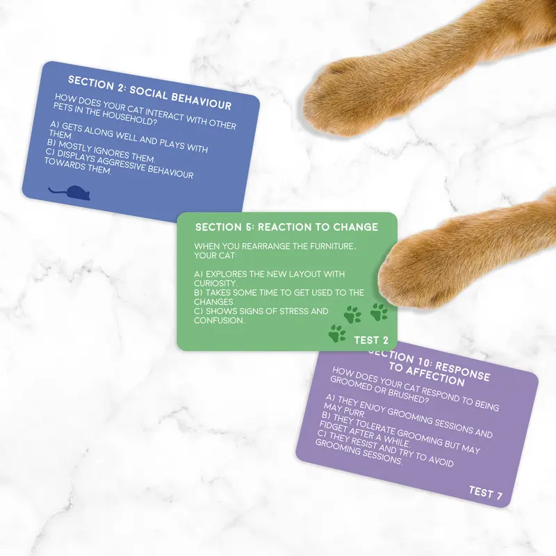 Cat Personality Test Cards - Fun Kitten or Cat Personality Test from Gift Republic 2