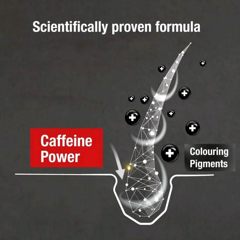 Alpecin Grey Attack Caffeine & Colour Shampoo for Men 1x 200ml | Gradually Darker and Stronger Hair | Controlled & Natural Looking Colour Effect for Less Greys | Against Thinning Hair Haircare Daily Cleansing Cleanser Comfort Conditioner 4