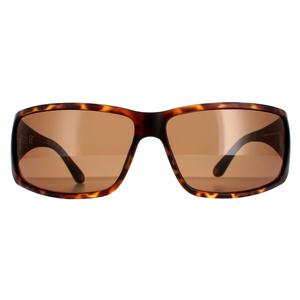 Police Sunglasses SPLB46 Origins 40 0738 Havana  Brown for Male - Menswear - Mens - Sunglasses - Eyewear - Summer