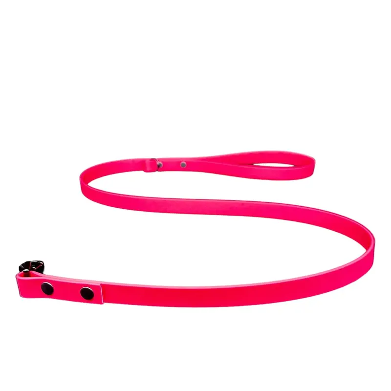 Biothane Dog Lead | Strong Webbing with Waterproof Rubber Coating | Sizes from S to L | All colours available 6