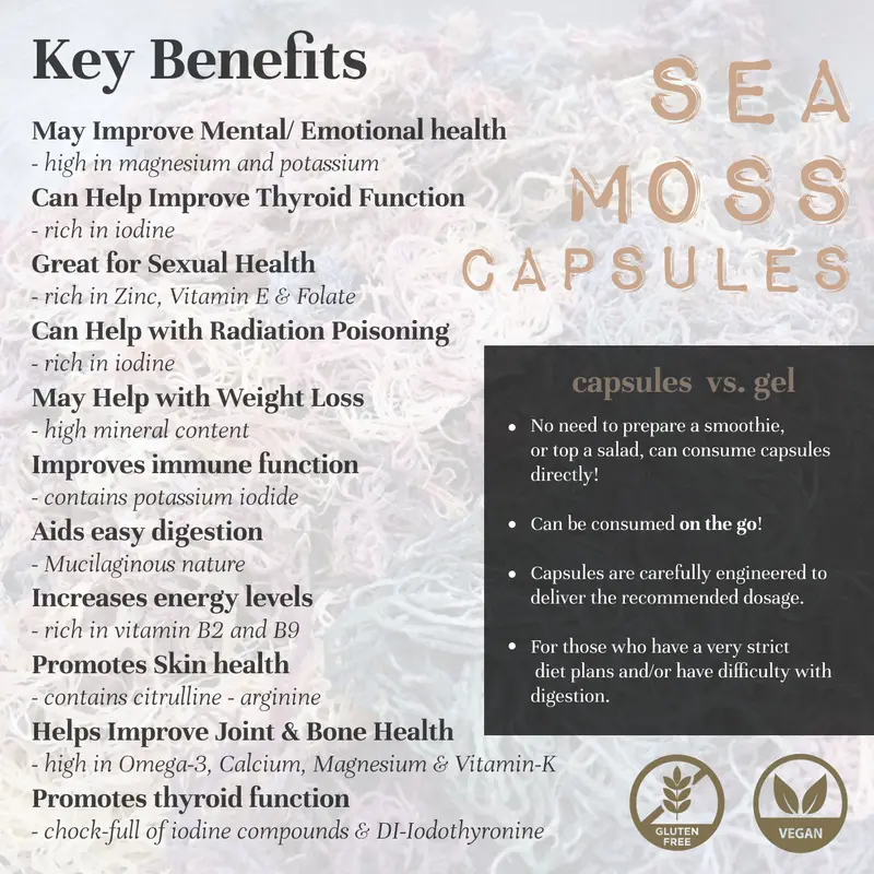 [Health & Holistics] Capsule: Purple/Sea Moss + Shilajit/Sea Moss + Ginger, Vegan Natural Organic Multi-vitamins Supplement, Healthcare Edible Health Body 1