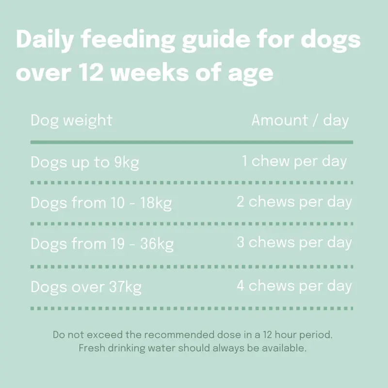 Buddy & Lola | Probiotic Soft Chews for Dog Gut Health | Plant Based Daily Digestive Supplement | Natural Probiotic Treats | Firmer Poops & Less Wind | Supports Healthy Skin & Coat | Helps Itchy Skin | 60 Probiotic Chews for Dogs | Made in UK 2