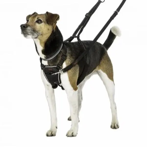 HALTI No Pull Harness Small, Medium, Large sizes, Professional Dog Harness to Stop Pulling on the Lead, Easy to Use, Anti-Pull Training Aid, Adjustable, Reflective and Breathable, For Medium Dogs, Black