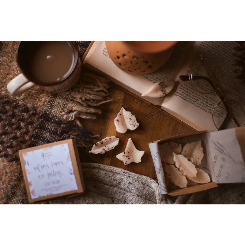 Autumn Spice Scented Leaves Shaped Wax Melts 2
