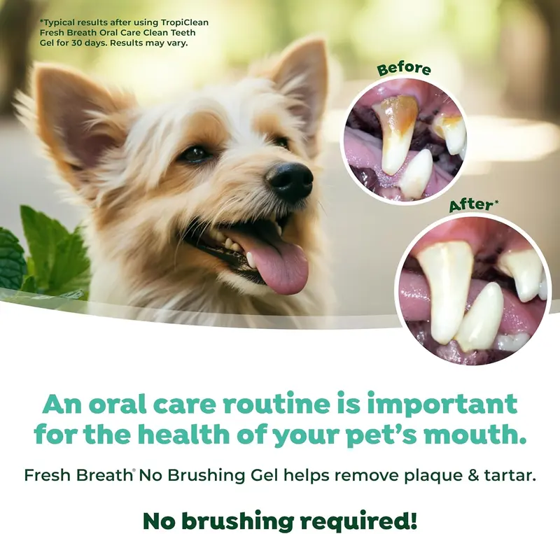 TropiClean Fresh Breath Puppy Teeth Cleaning Gel - No Brushing Dental Care - Breath Freshener Oral Care - Complete Puppy Teeth Cleaning Solution - Helps Remove Plaque & Tartar, For Puppies, 59ml 4