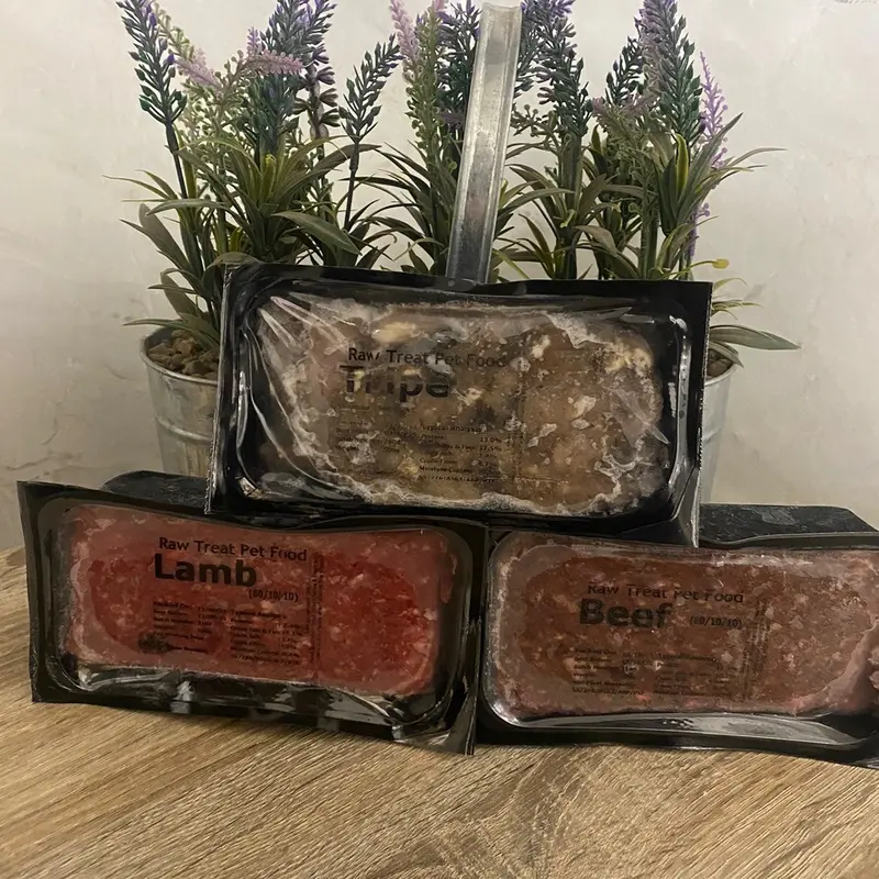 Raw Treat Pet Foods, frozen raw mince dog food x20 1