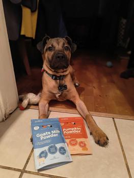 Product Review of Buddy & Lola Goat Milk Powder for Digestive Dog Health and Hydration | Low Lactose Nutrient Rich Powder for Puppies and Dogs of All Ages | Dog Gut Health Product | Bursting with Natural Vitamins | 120g Pouch | Food Topper for Fussy Dogs from j**1 0