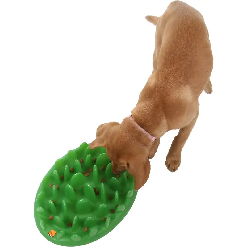 Company of Animals GREEN Mini Slow Interactive Feeder for Dogs, Best Fun Slow Feeder Dog Bowl, Anti-Gulp, Gobble Stopper, Mental Stimulation Dog Puzzle, Suitable for Puppy & Small, Medium & Large Dogs 4