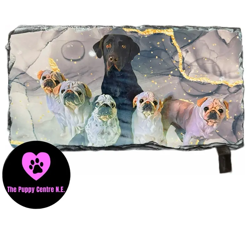 Custom Slate Photo Tile + Mothers Day + Dog Owner Gift + Pet Pictures + Rectangle 22cm x 12 cm with Gift Box 0