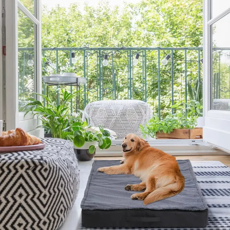 Machine Washable Large Dog Beds for Dogs Orthopedic Dog Bed for Medium Large Dogs Waterproof Lining Non-Slip Bottom 3