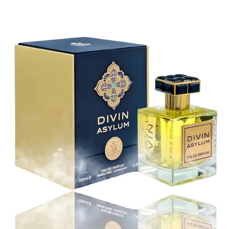 Divin Asylum 100ml EDP by FA Paris (Fragrance World) 3