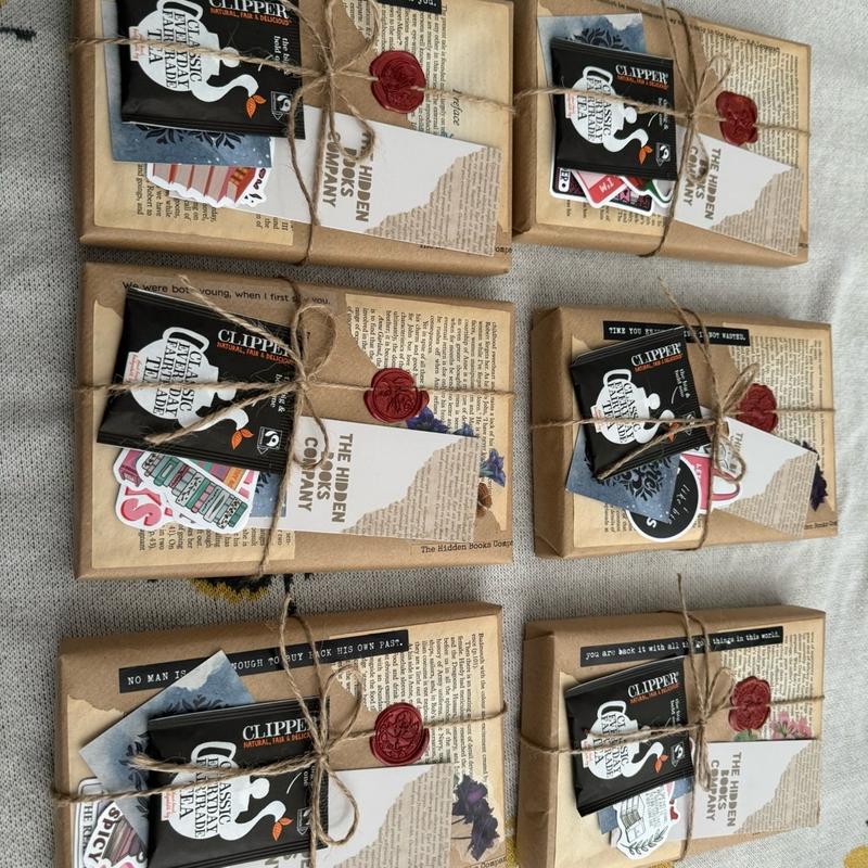 Contemporary Blind Date With a Book - Brand new paperback with bookmark, tea & stickers 7