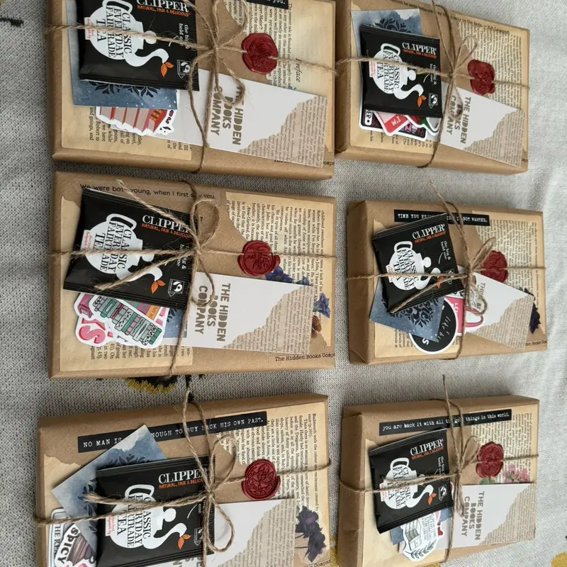 Contemporary Blind Date With a Book - Brand new paperback with bookmark, tea & stickers 7