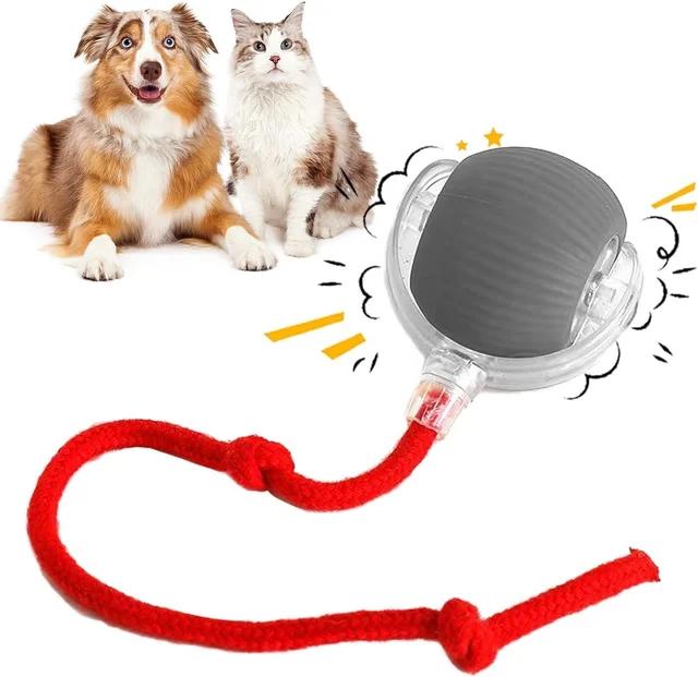 [UK Seller 48hr Delivery] Electric Cat Ball Toy Interactive with Rope Cat Teaser, Automatic Rolling Ball, Pet Chasing Toy Pet Supplies, Dog & Cat Accessories, Christmas Gift, Kitten Puppy Toy Chase Fun 7