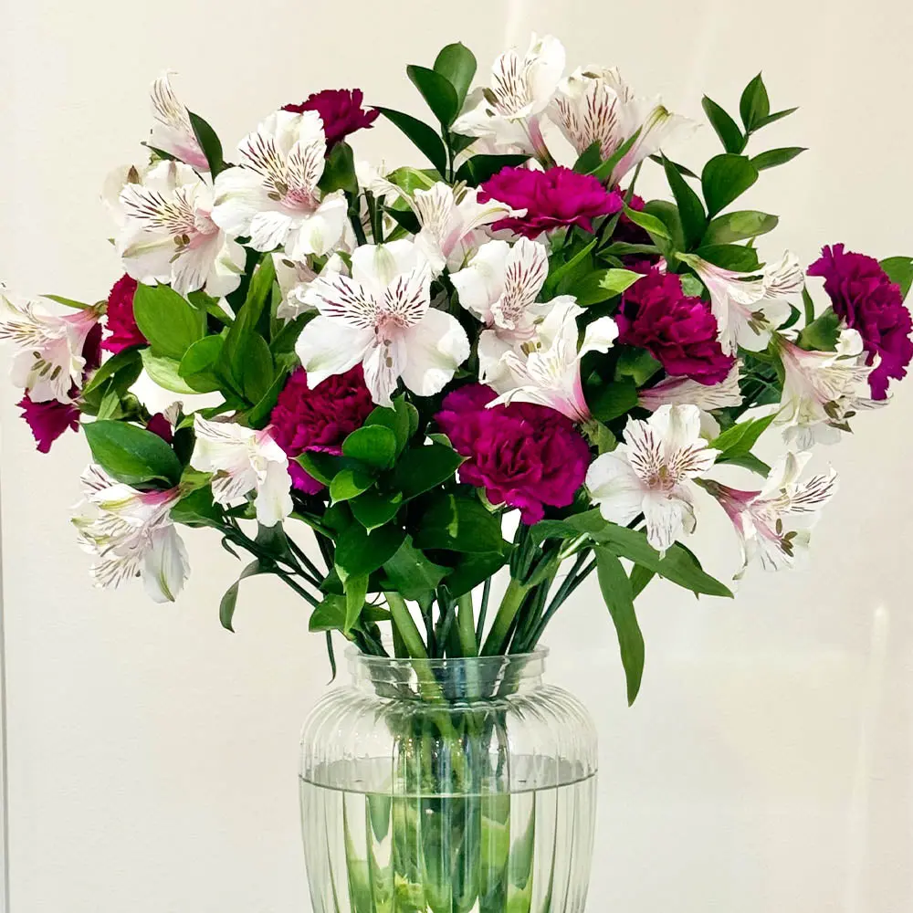 Marshmallow Swirl Bouquet with Premium Purple Carnations and Pink/White Alstroemeria - Big Flower Bouquets for Any Occasion - Decorative, Luxury