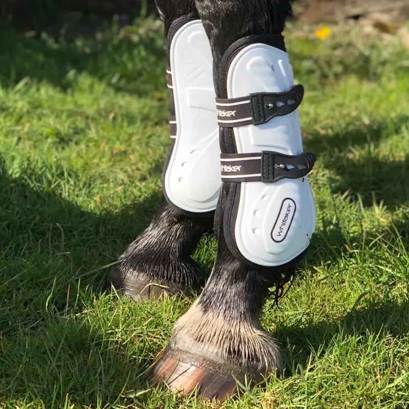Bingley Tendon & Fetlock Boot Set 2