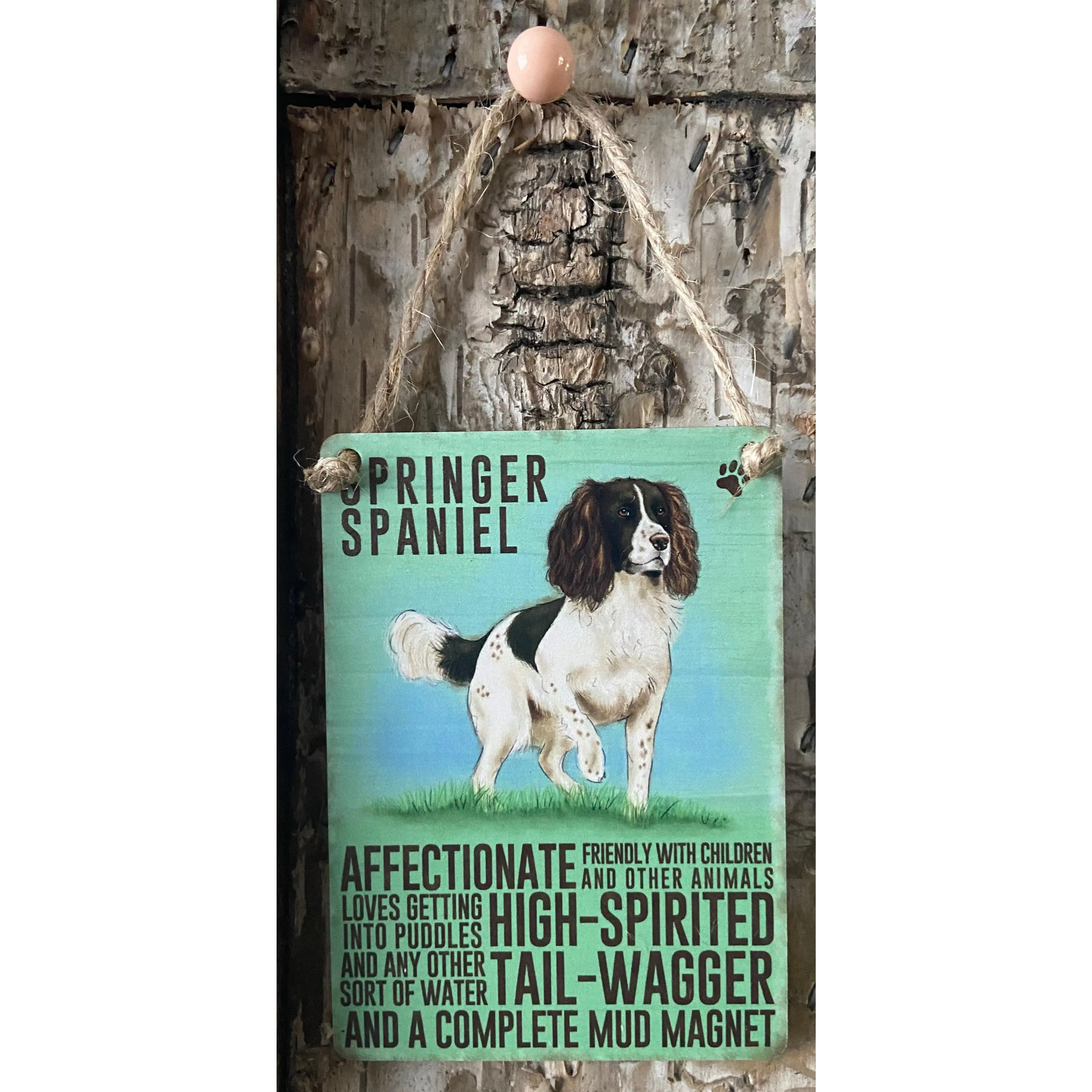 Springer Spaniel Sign - Affectionate Springer Spaniel Mini Metal Dangler Sign