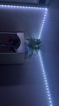 Product Review of 15m led Strip Lights with Remote & App Control, Music Sync with Mic ( 2x 7.5Mx ) from K**️ 0