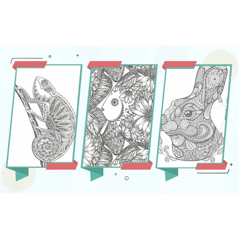 Styloo Adult Colouring Books and Pencils -Includes 12 Colour Pencils & 2 Books Having 60 Designs Each - Colouring Books for Adults Pack 6