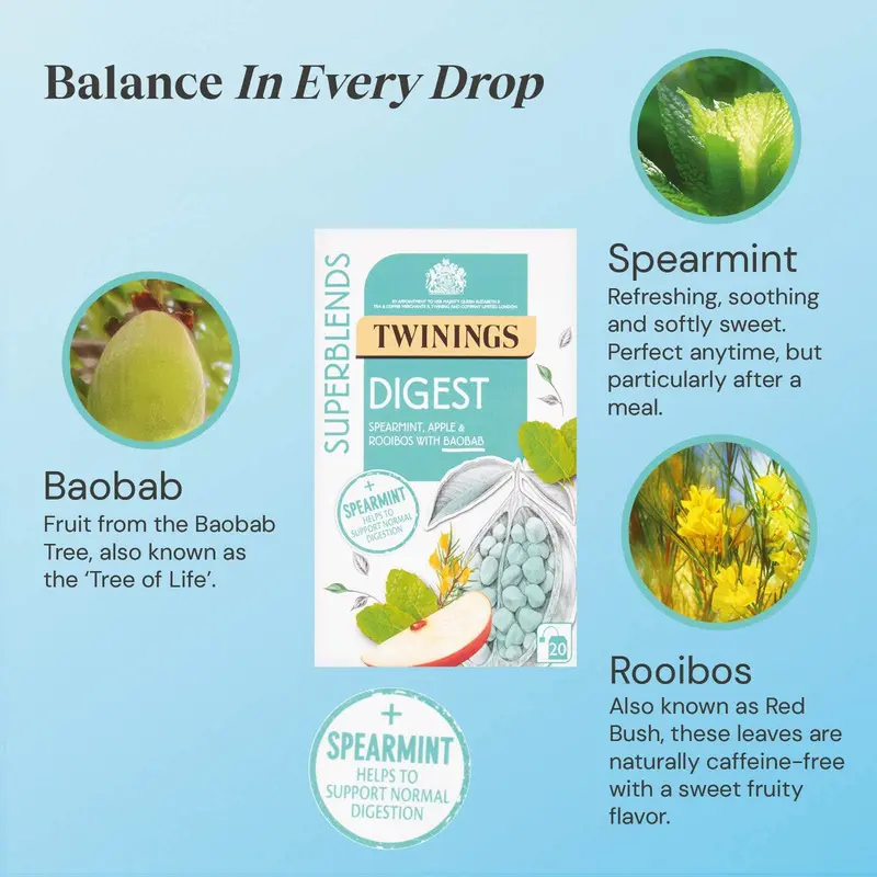 Twinings Superblends Digest Spearmint Tea Bag 1x20 Bags 1