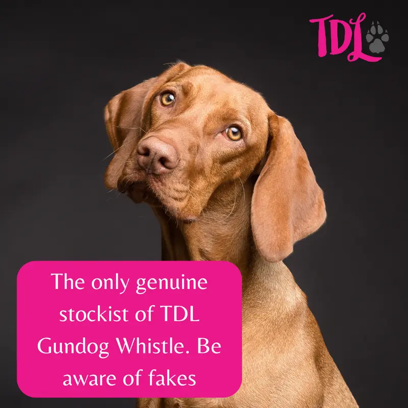 TDL Gun Dog Training Whistle with Lanyard - Dog Whistle with Loud, Solid Tone & Far Reaching Sound - Ideal High-Frequency Long-Distance Dog Recall Whistle for Most Breeds - TDL is the only Genuine supplier of the TDL Gundog Whistle 1