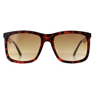 Guess Sunglasses GF0171 52F Dark Havana Brown Gradient for Male - Menswear - Mens - Sunglasses - Eyewear - Summer