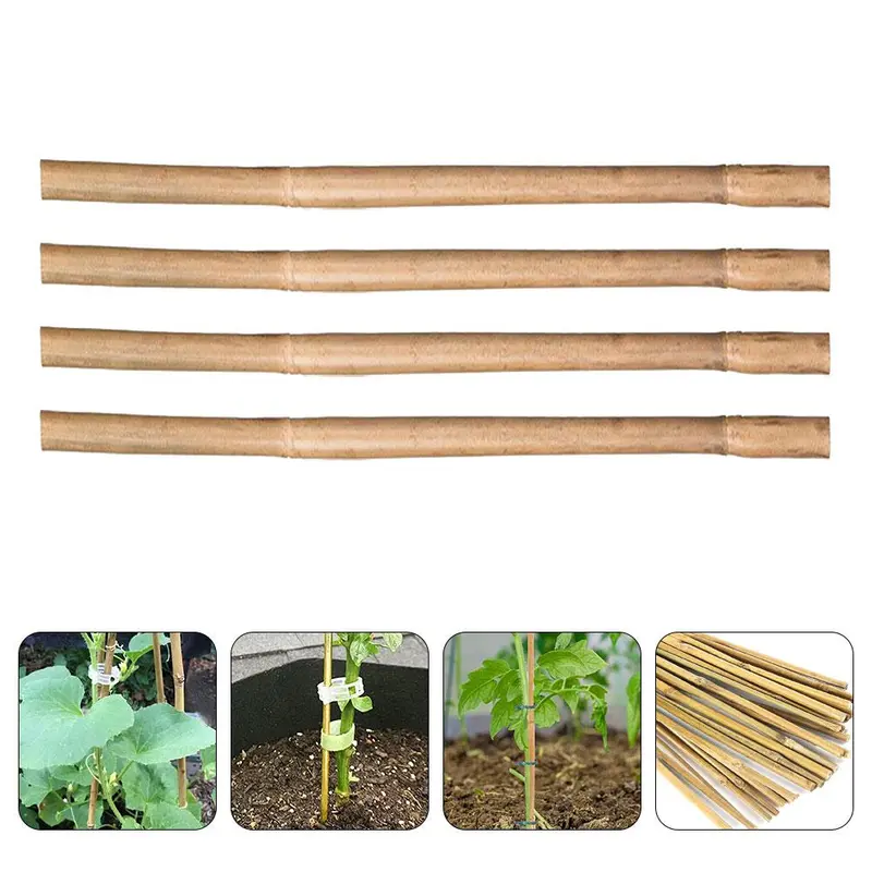 20pcs Bamboo Poles – Plant Support Stakes for Climbing Plants, Trellis for Tomatoes, Vegetables, and Gardening Tool 0